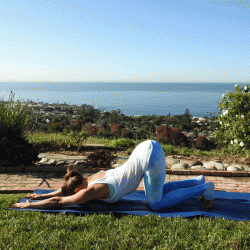 After Thanksgiving Yoga | Poses for Better Digestion