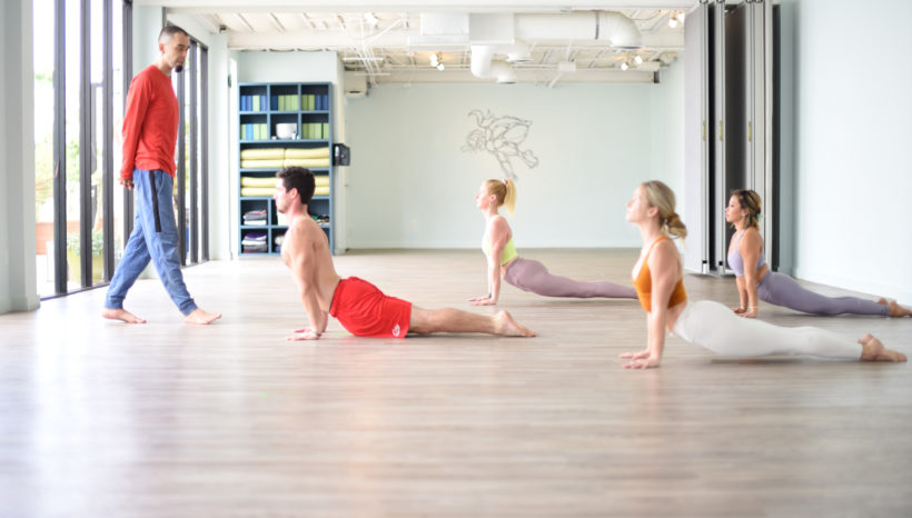 Vinyasa Yoga for Beginners 