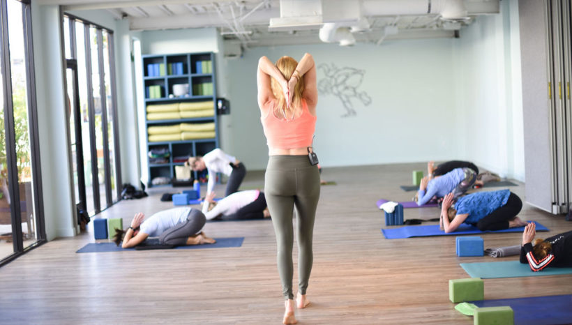 The Anatomy of Vinyasa Yoga for Beginners 