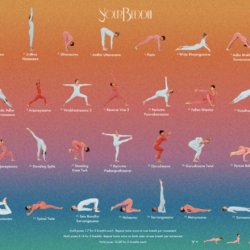 28 Days of Yoga Buddhi Sequence